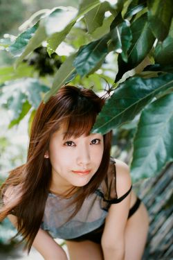 海彤与战胤小说全文免费阅读拃
